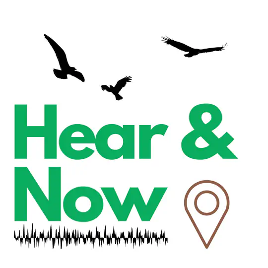 Hear and Now: Interactive web application for bird diversity education